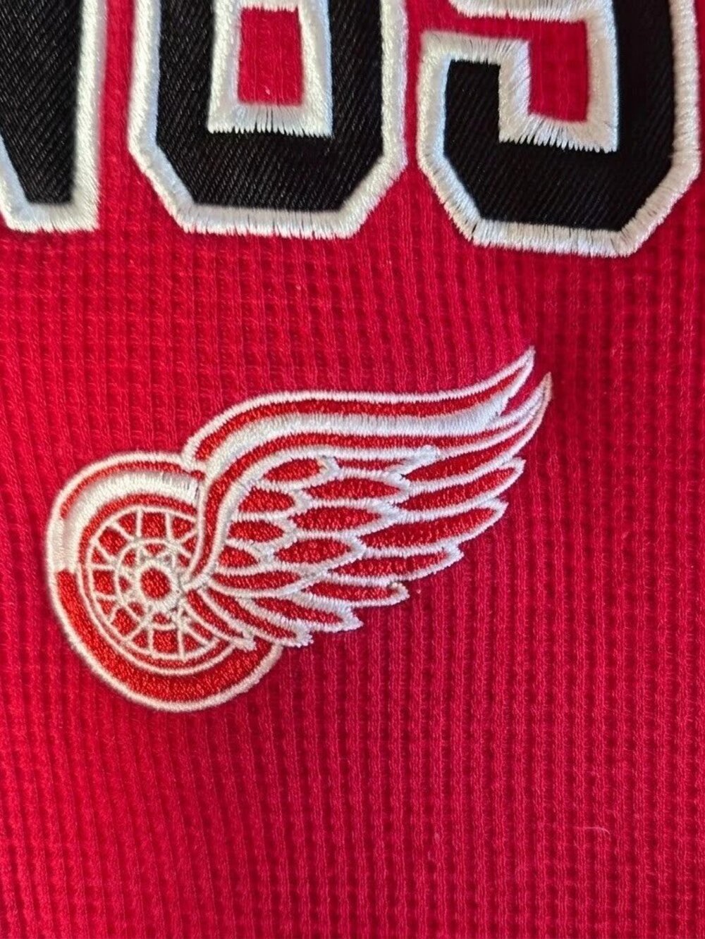 Detroit Red Wings Men's XL Hoodie Official NHL Hockey Full Zip Fleece Lined - Picture 5 of 10